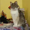 Отзыв от Инга Кудряшова
